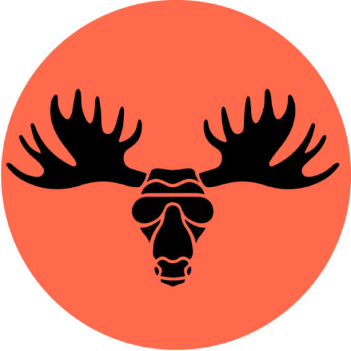 Mad Moose Rentals logo