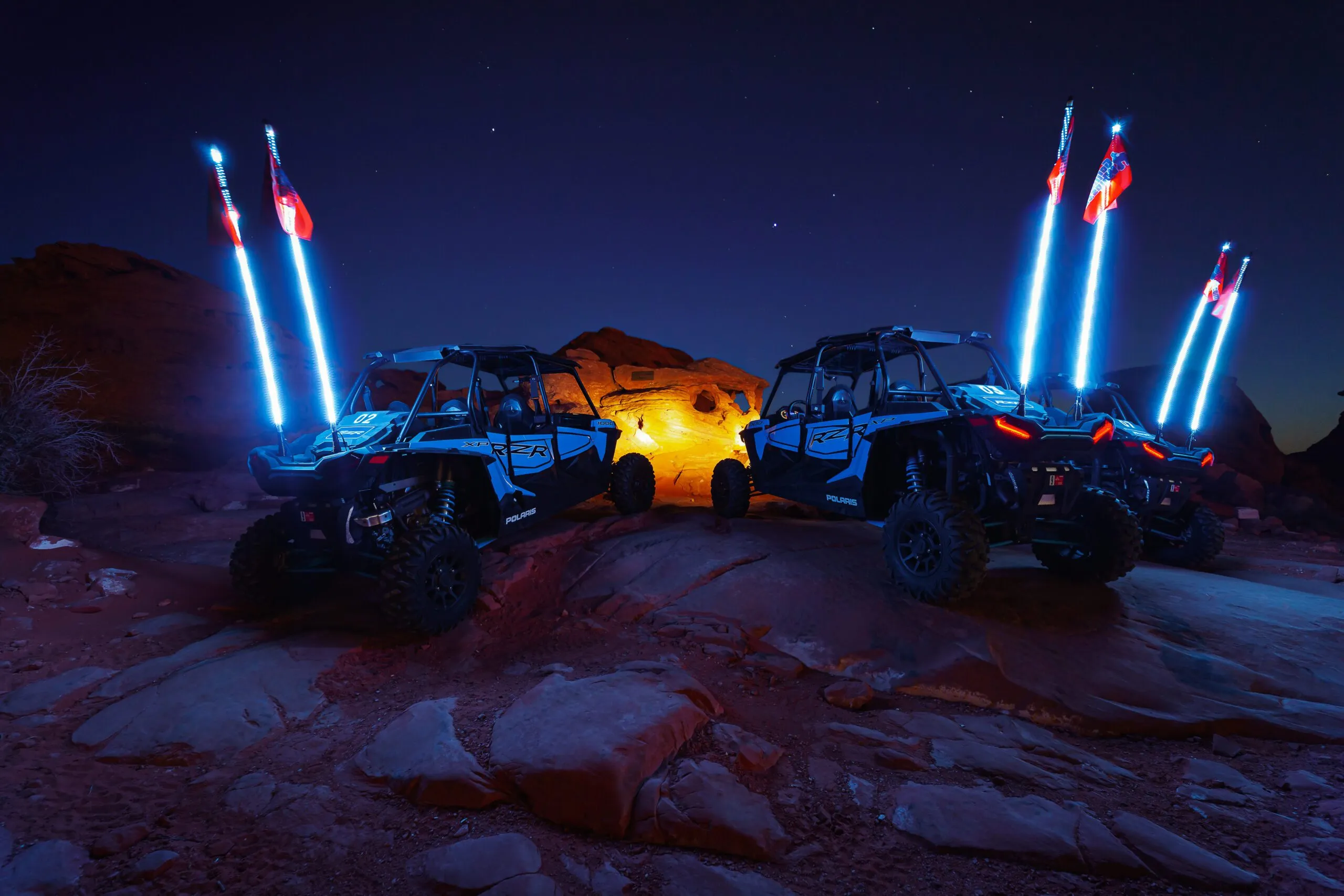 mad-moose-20200213-56