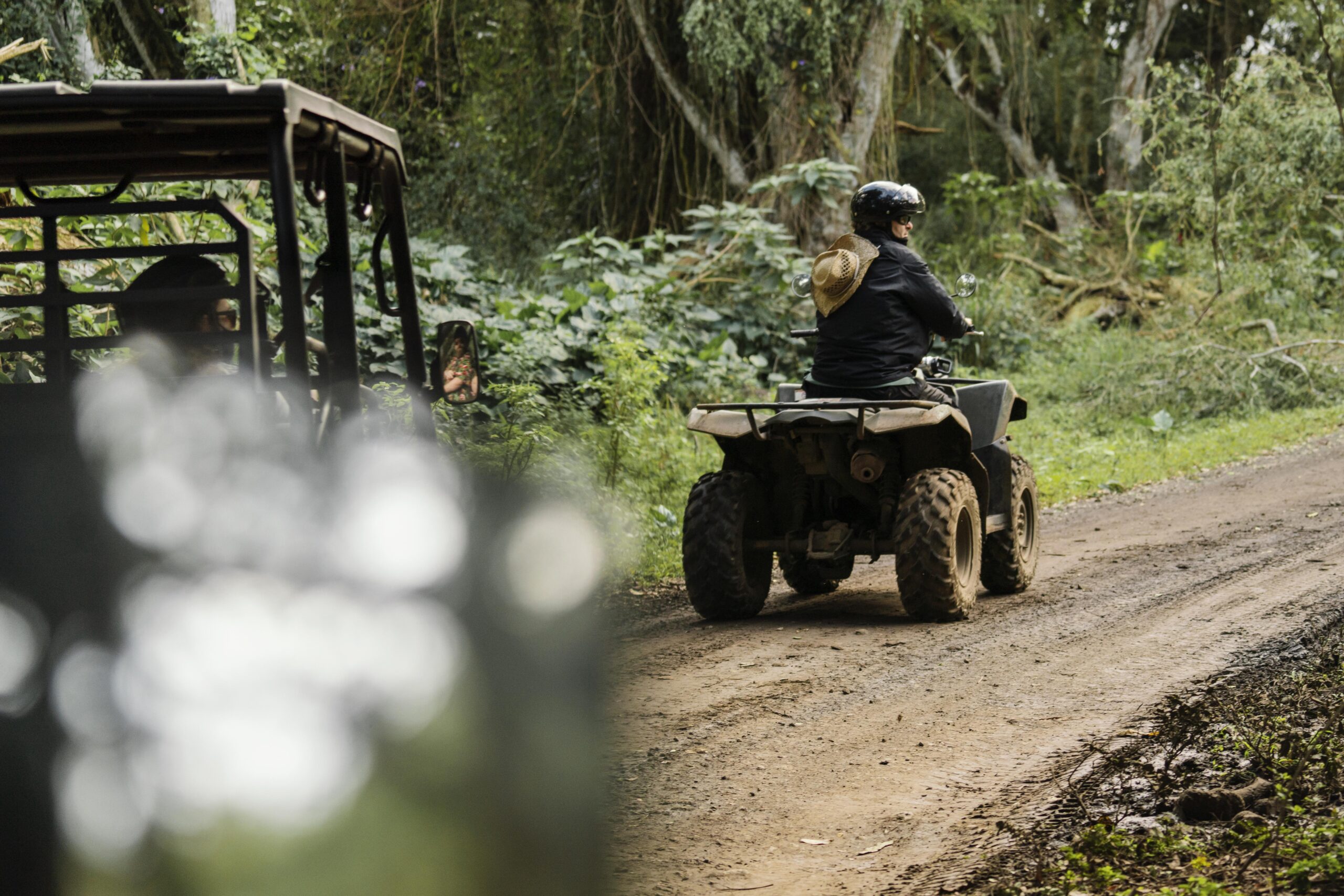 Family riding a UTV on a forest trail near Zion National Park